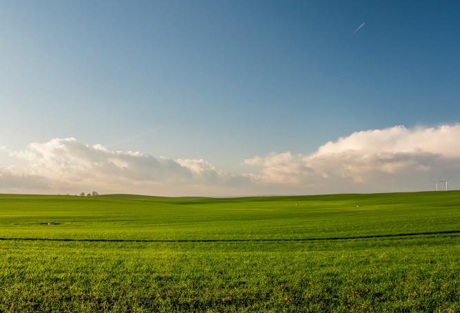 Field and sky